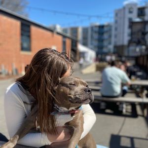 Meet your Posher, Bailey